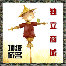 獨立商城網(wǎng)站設(shè)計的五個黃金原則
