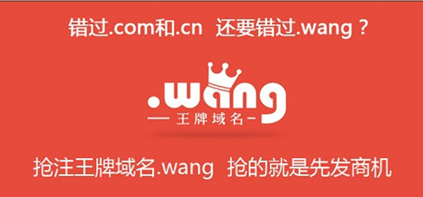 后綴.wang 打響華人域名爭奪戰(zhàn)