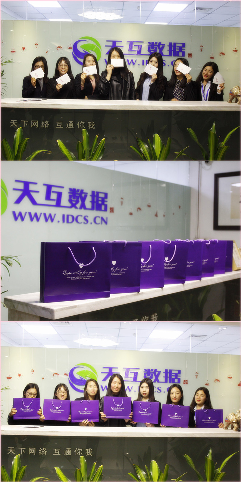 天互數(shù)據(jù)祝IDC女神們節(jié)日快樂